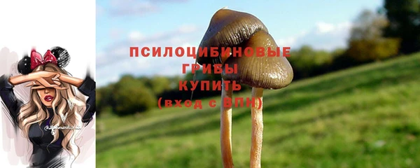 MESCALINE Армянск