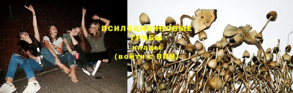 MESCALINE Армянск